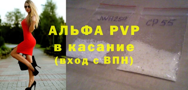 индика Богданович