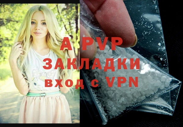 прущие грибы Богородск