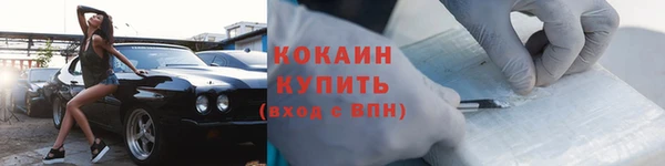 индика Богданович