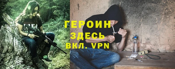индика Богданович