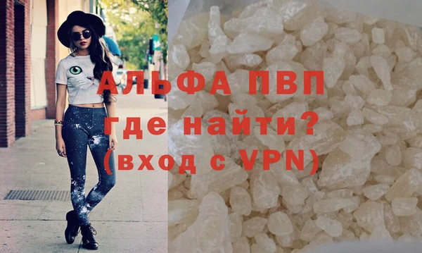прущие грибы Богородск
