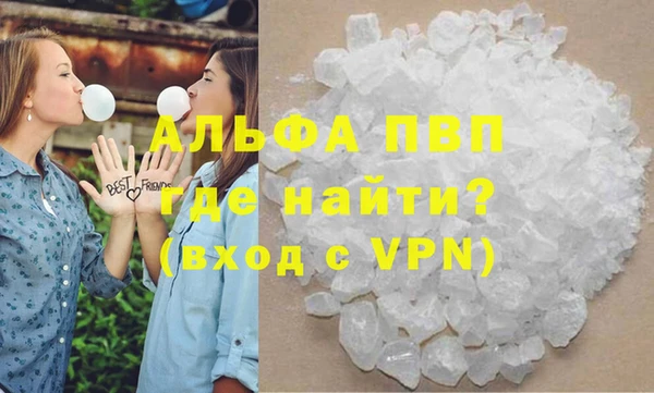 индика Богданович