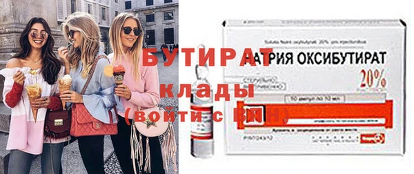 индика Богданович