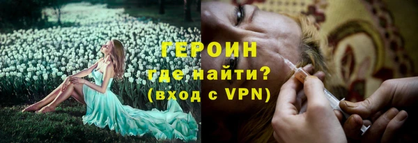 индика Богданович