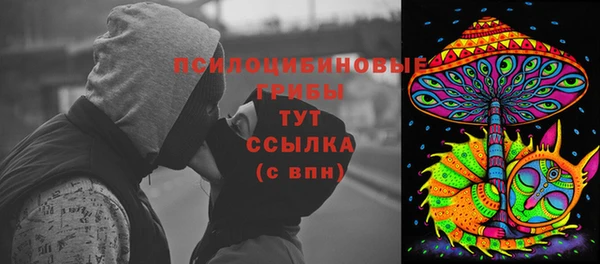 прущие грибы Богородск