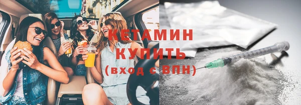индика Богданович