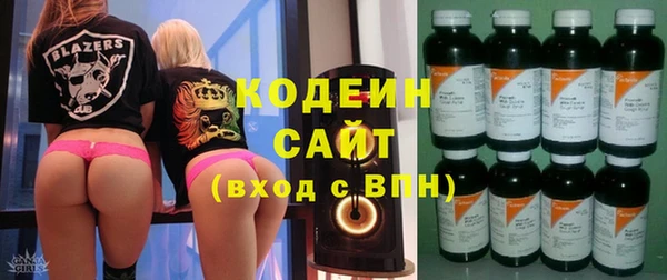 индика Богданович